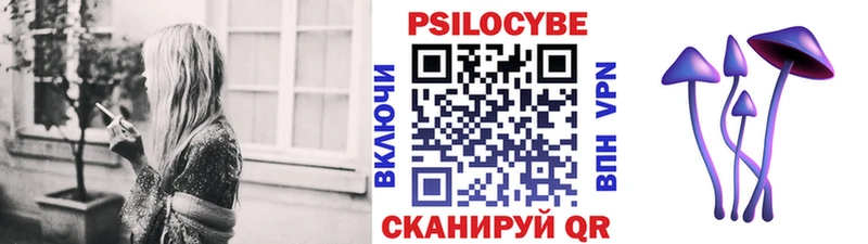 Купить  Пыталово  Псилоцибиновые грибы GOLDEN TEACHER 